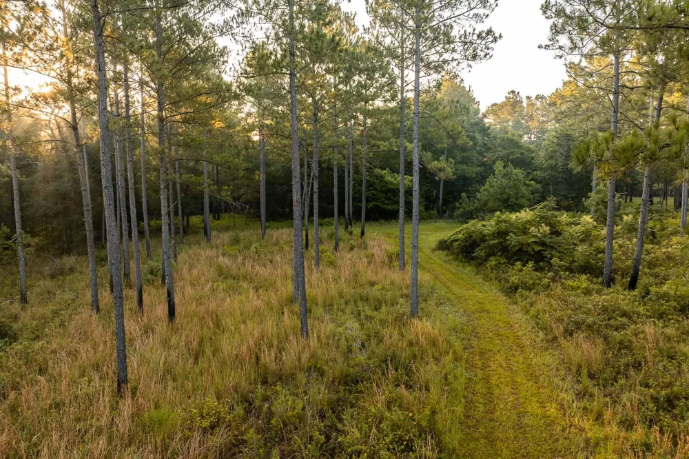 6604 Pine Island Road Albany, GA 31721