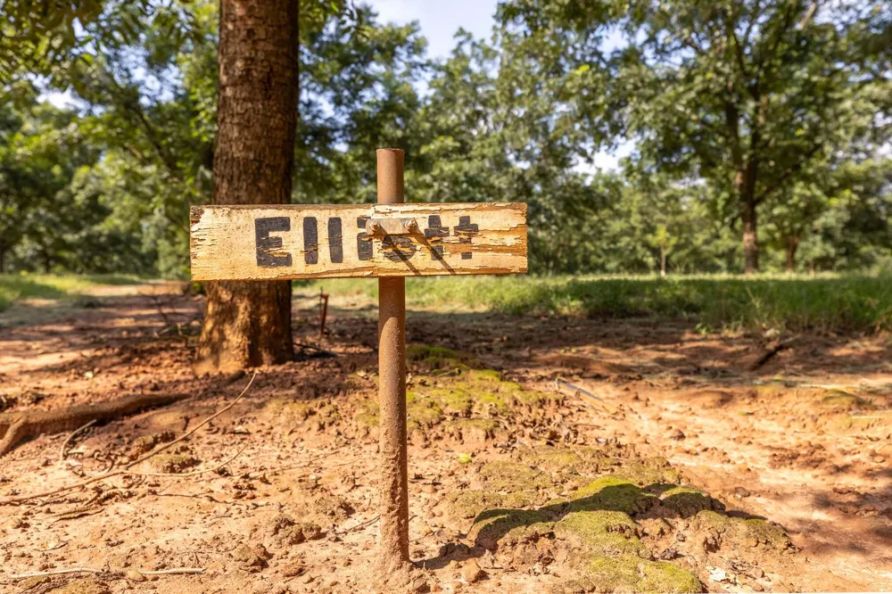 6604 Pine Island Road Albany, GA 31721