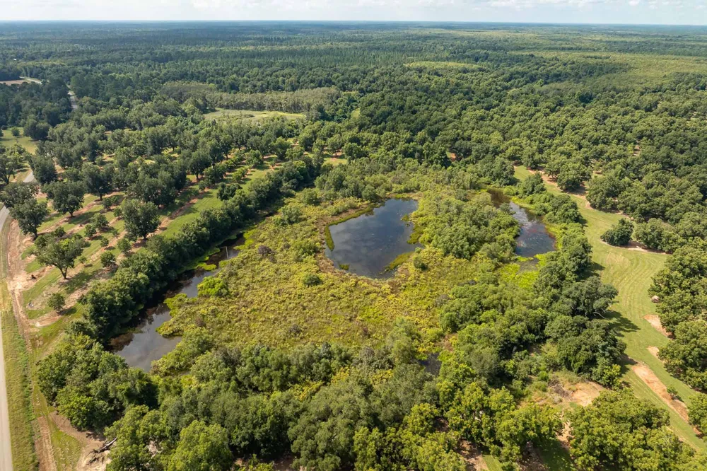 6604 Pine Island Road Albany, GA 31721