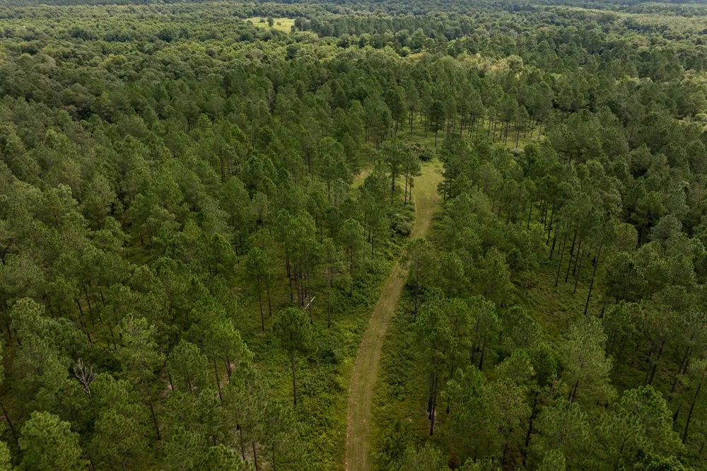 6604 Pine Island Road Albany, GA 31721