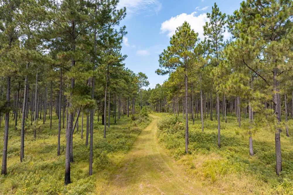 6604 Pine Island Road Albany, GA 31721