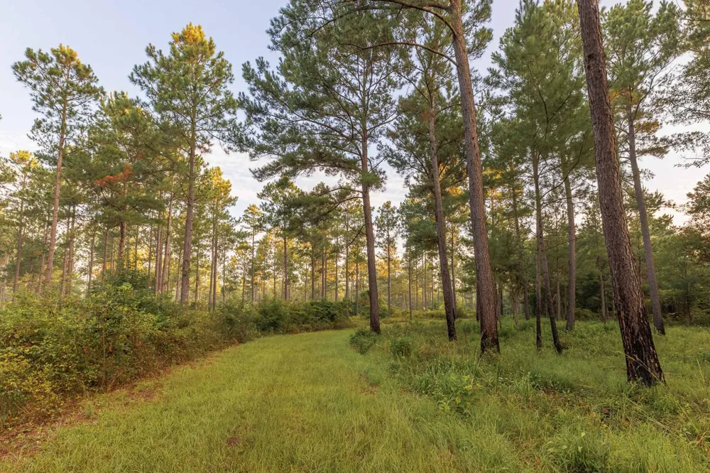 6604 Pine Island Road Albany, GA 31721