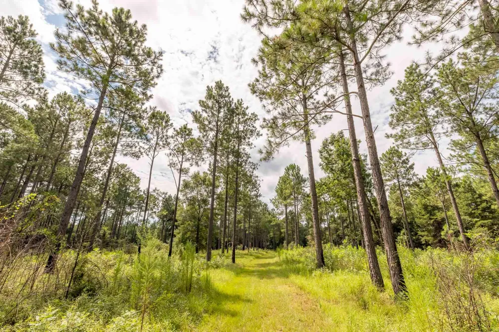 6604 Pine Island Road Albany, GA 31721
