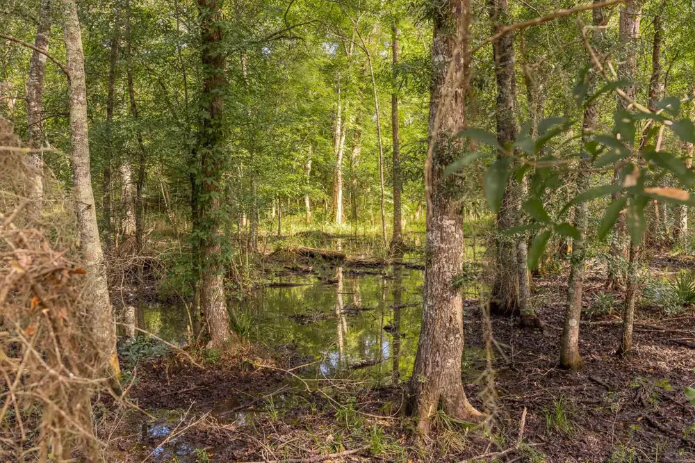 6604 Pine Island Road Albany, GA 31721