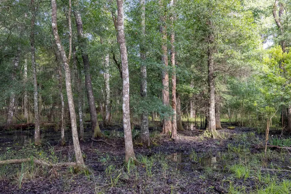 6604 Pine Island Road Albany, GA 31721