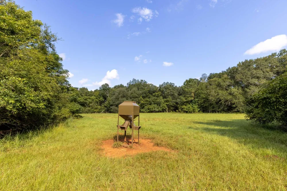 6604 Pine Island Road Albany, GA 31721