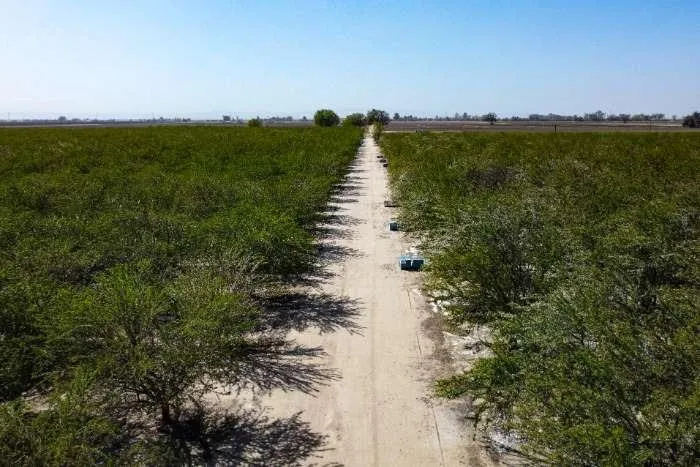 0 Lacey Boulevard Lemoore, CA 93245