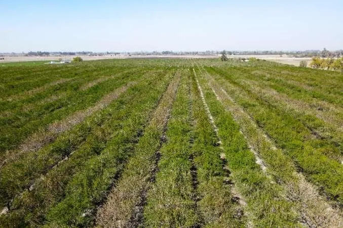 0 Lacey Boulevard Lemoore, CA 93245
