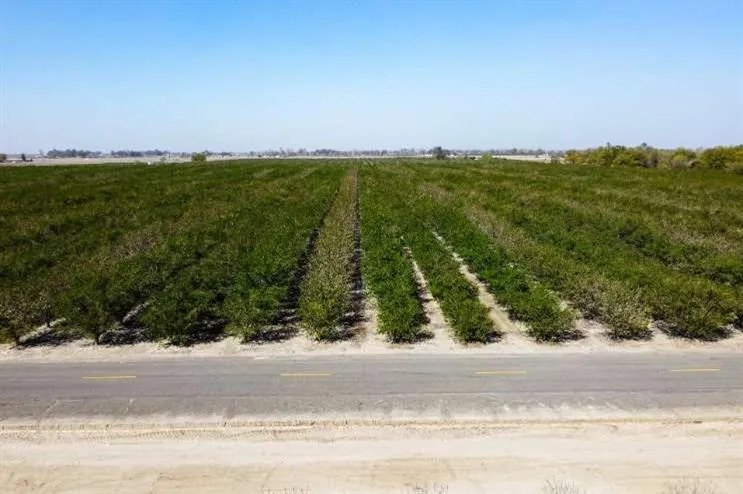 0 Lacey Boulevard Lemoore, CA 93245