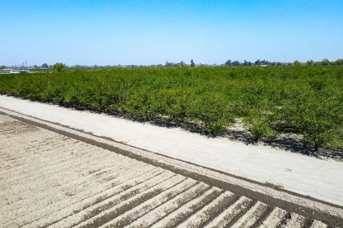 0 Lacey Boulevard Lemoore, CA 93245