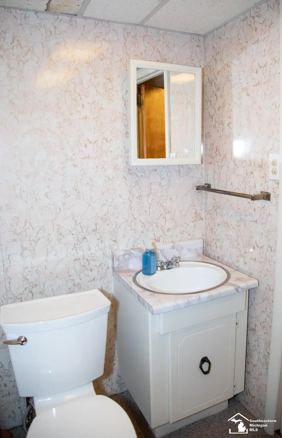 2077 Pagel Avenue Lincoln Park City, MI 48146