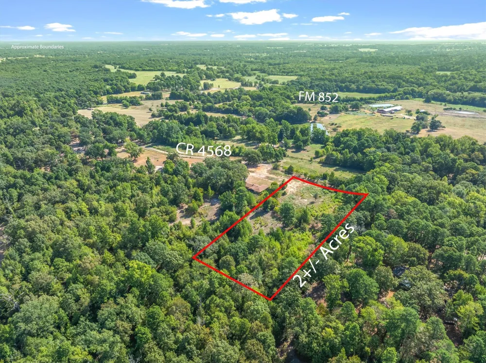 CR 4568 Winnsboro, TX 75494
