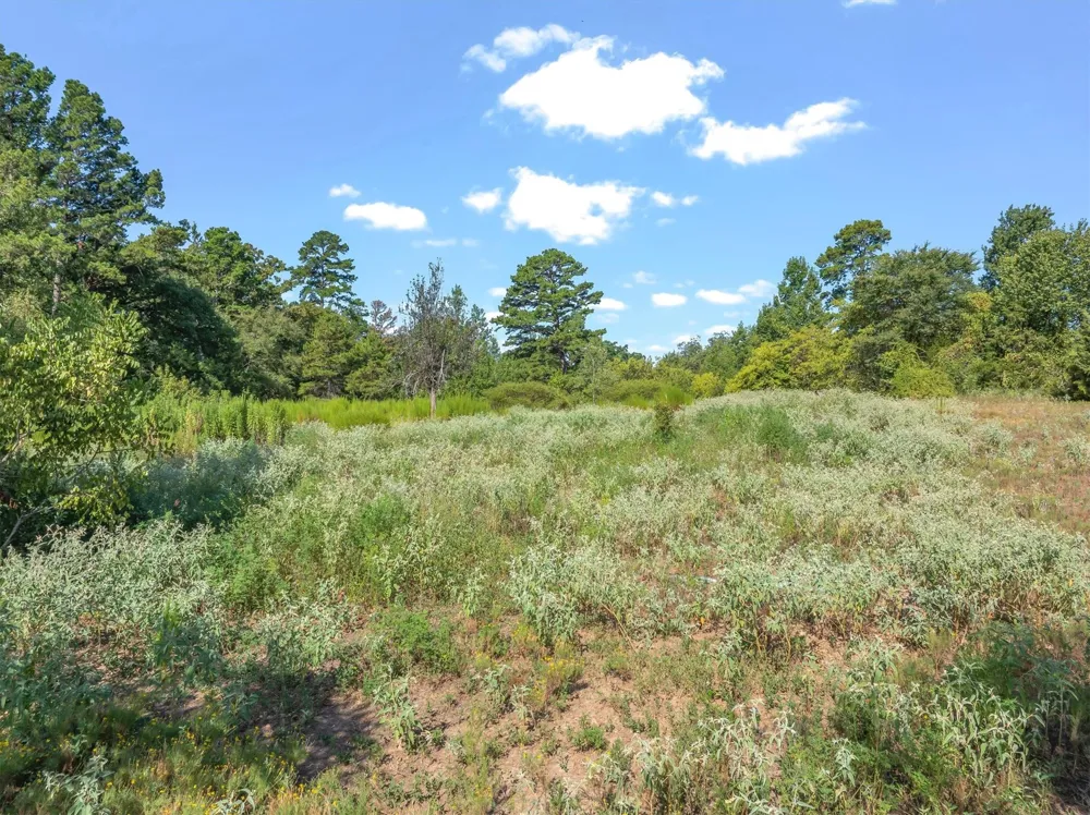 CR 4568 Winnsboro, TX 75494
