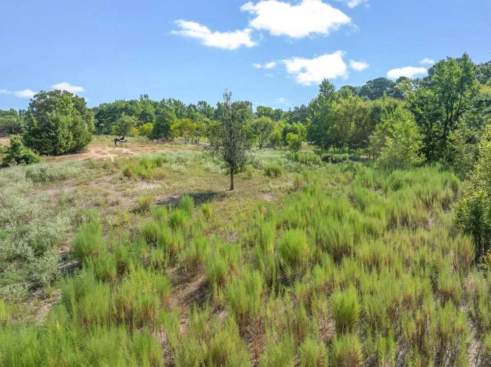 CR 4568 Winnsboro, TX 75494