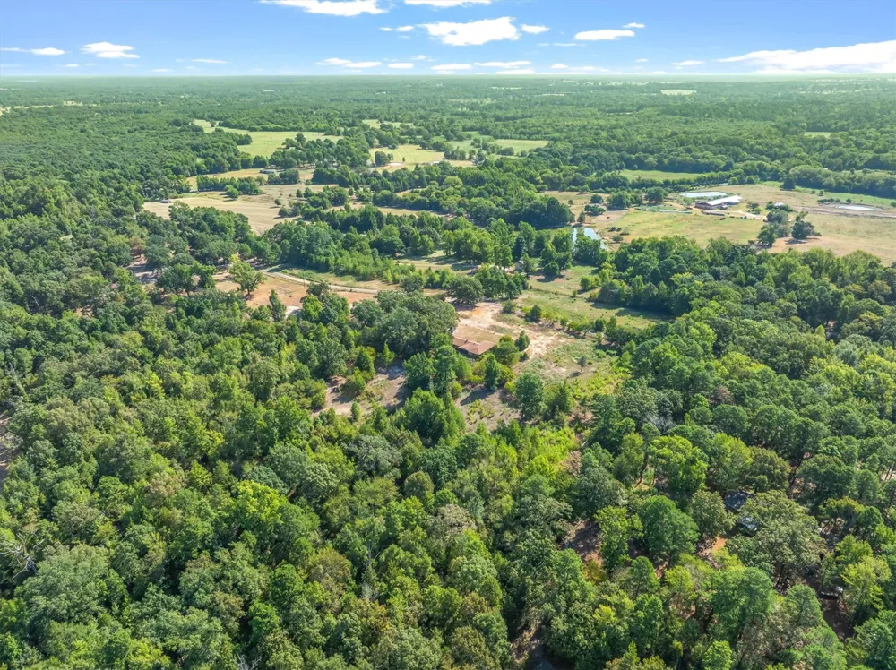 CR 4568 Winnsboro, TX 75494