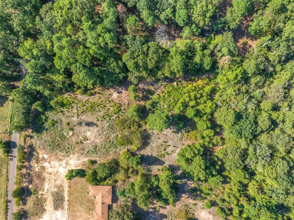 CR 4568 Winnsboro, TX 75494