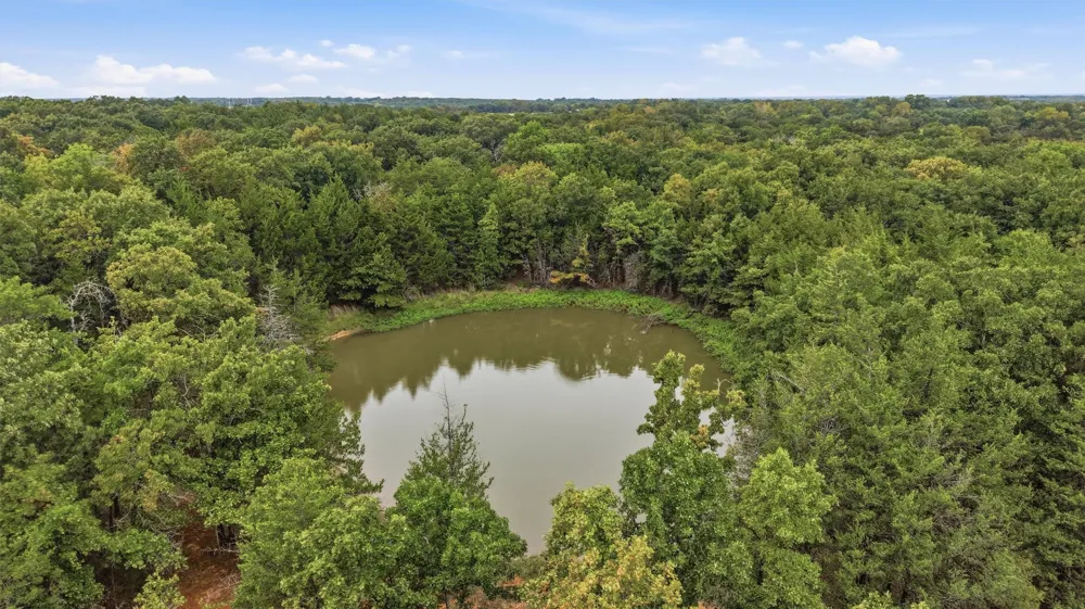2449 County Road 1215 Savoy, TX 75479