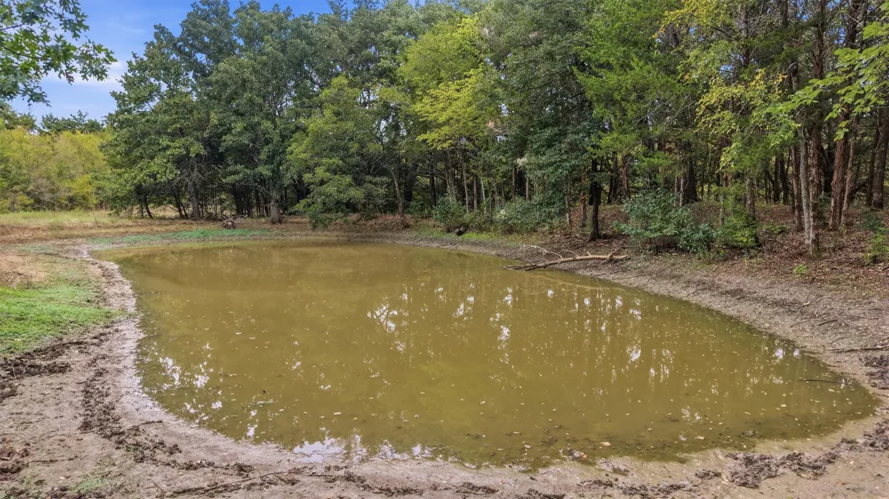 2449 County Road 1215 Savoy, TX 75479
