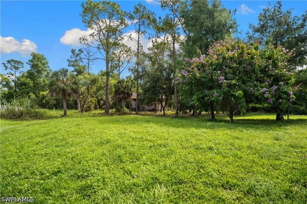 Livingston Woods Lane Naples, FL 34109