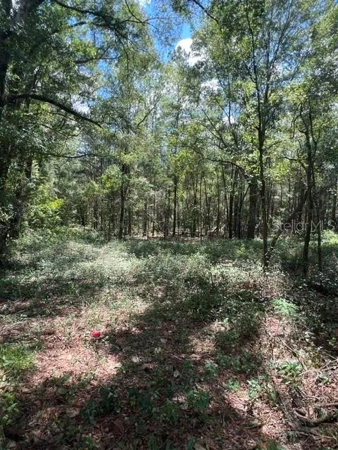 16958 NW US HWY 441 HIGHWAY NW
