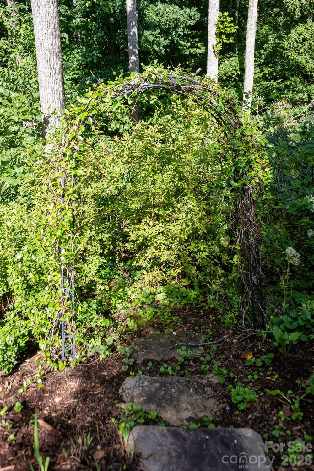 15 Stills Creek Loop Fairview, NC 28730