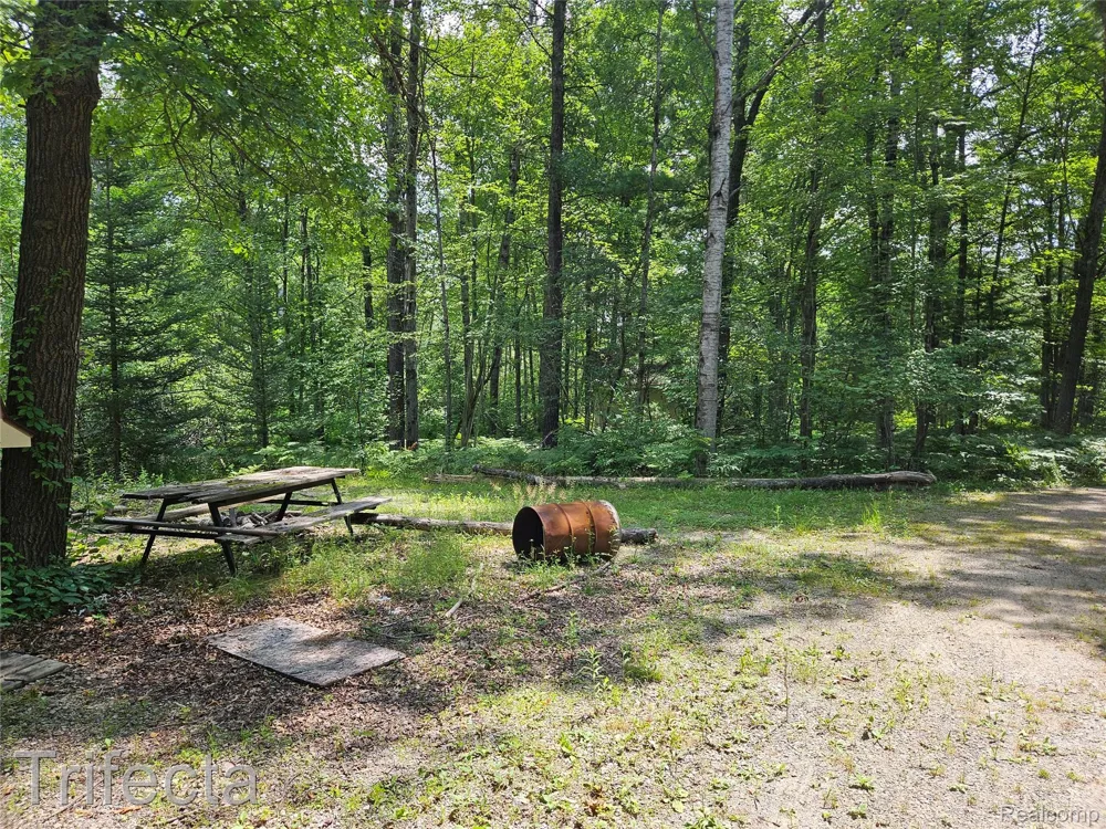 1495 River Valley Drive Mills Township, MI 48756
