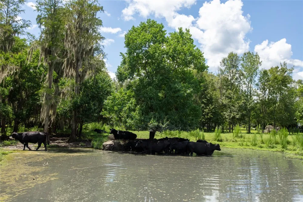 9284 NW CR  225 Starke, FL 32091