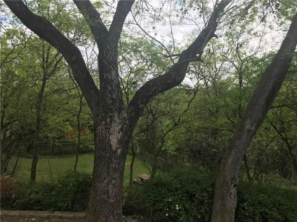 6401 Chimney Creek Circle #A Austin, TX 78723