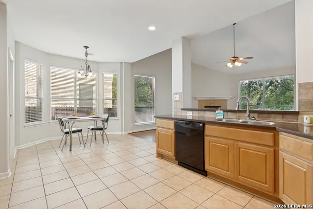 722 Aster Trail San Antonio, TX 78256