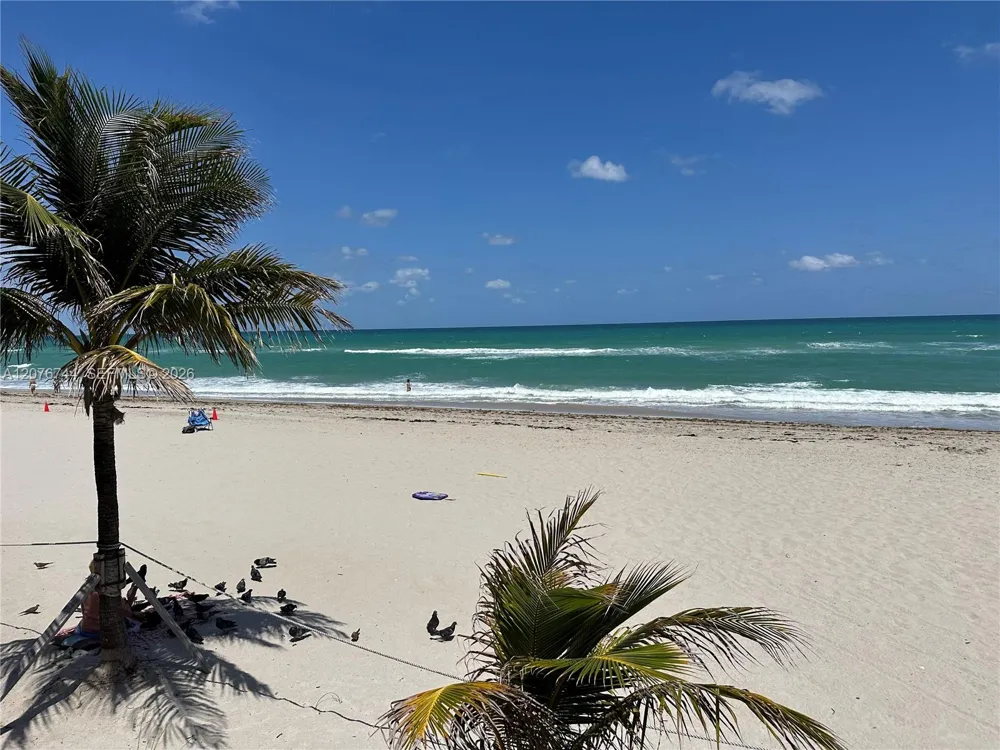 2030 S Ocean Dr #1611 Hallandale Beach, FL 33009