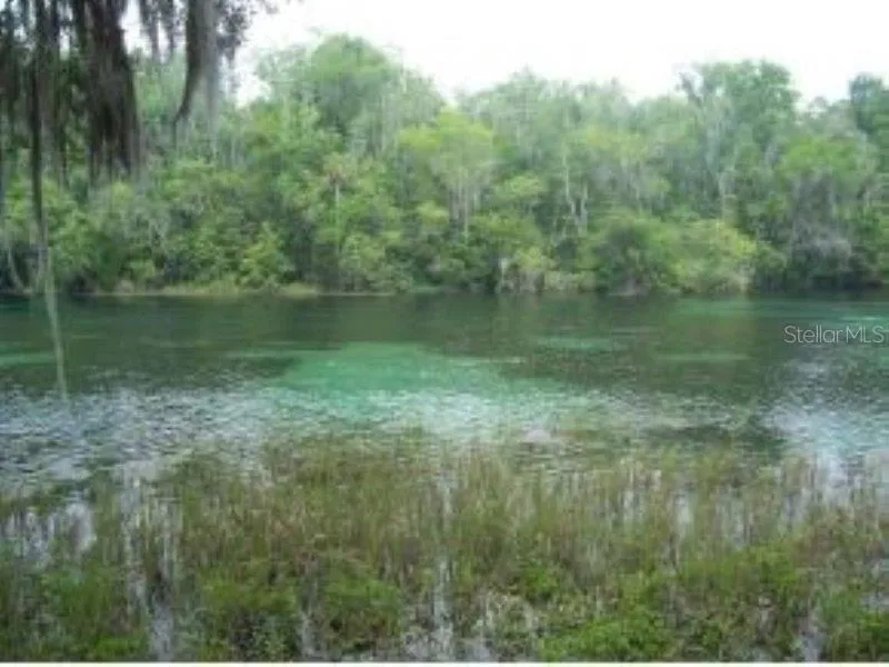 19443 SW 101ST PLACE ROAD Dunnellon, FL 34432