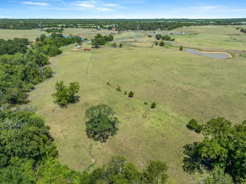 VZ County Road 4503 Ben Wheeler, TX 75754