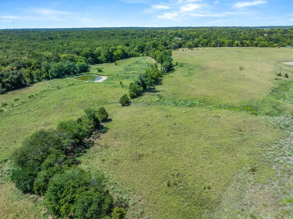VZ County Road 4503 Ben Wheeler, TX 75754