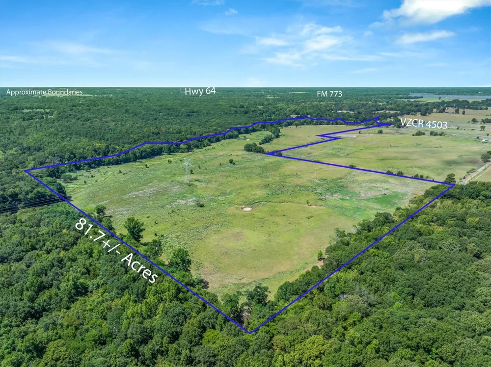 VZ County Road 4503 Ben Wheeler, TX 75754