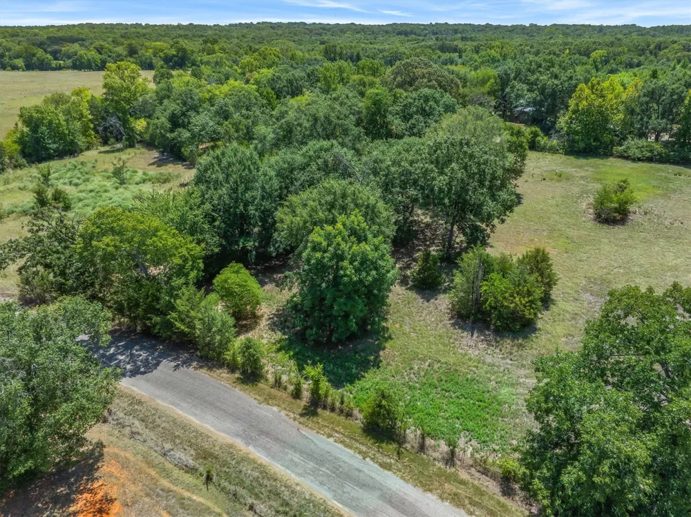 VZ County Road 4503 Ben Wheeler, TX 75754