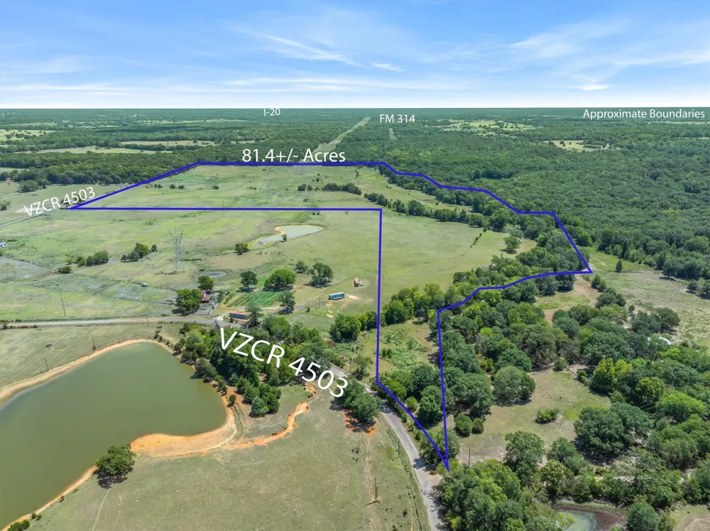 VZ County Road 4503 Ben Wheeler, TX 75754