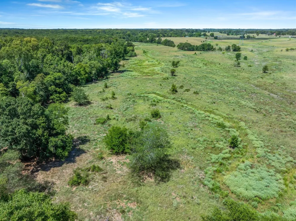 VZ County Road 4503 Ben Wheeler, TX 75754