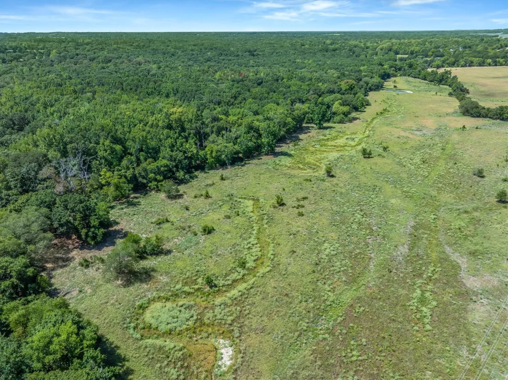 VZ County Road 4503 Ben Wheeler, TX 75754