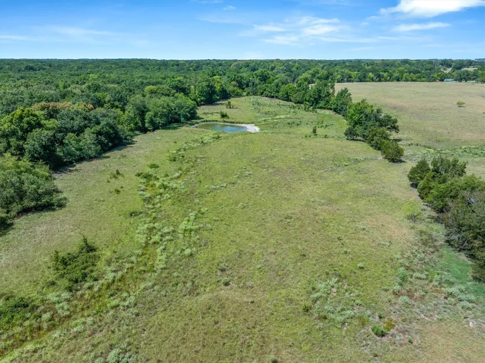 VZ County Road 4503 Ben Wheeler, TX 75754