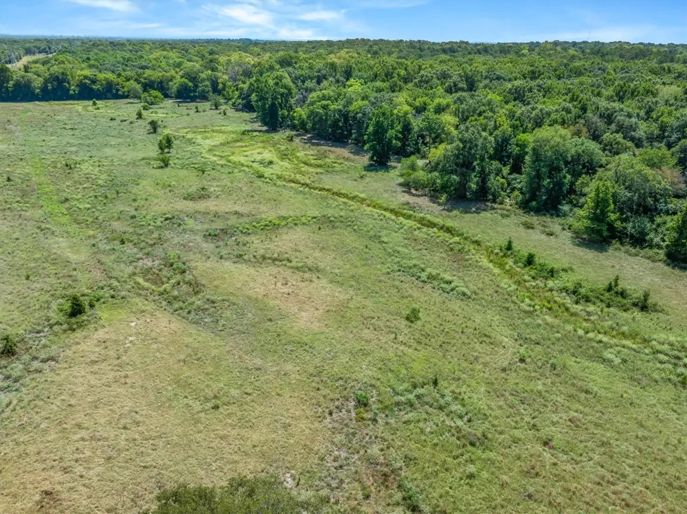 VZ County Road 4503 Ben Wheeler, TX 75754
