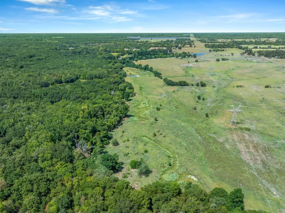 VZ County Road 4503 Ben Wheeler, TX 75754