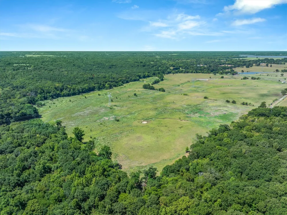 VZ County Road 4503 Ben Wheeler, TX 75754