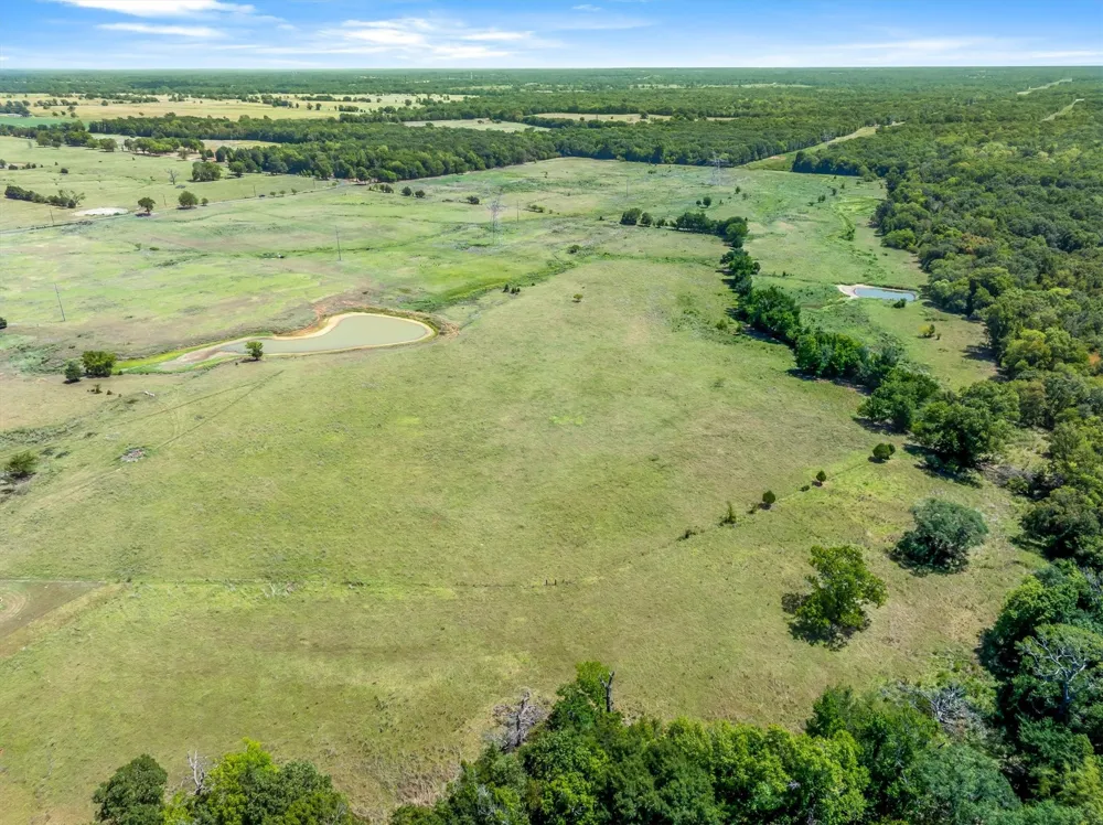 VZ County Road 4503 Ben Wheeler, TX 75754