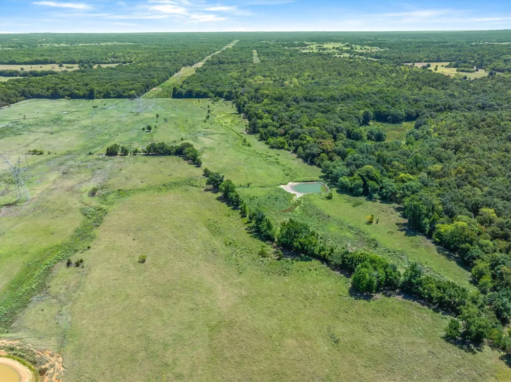 VZ County Road 4503 Ben Wheeler, TX 75754