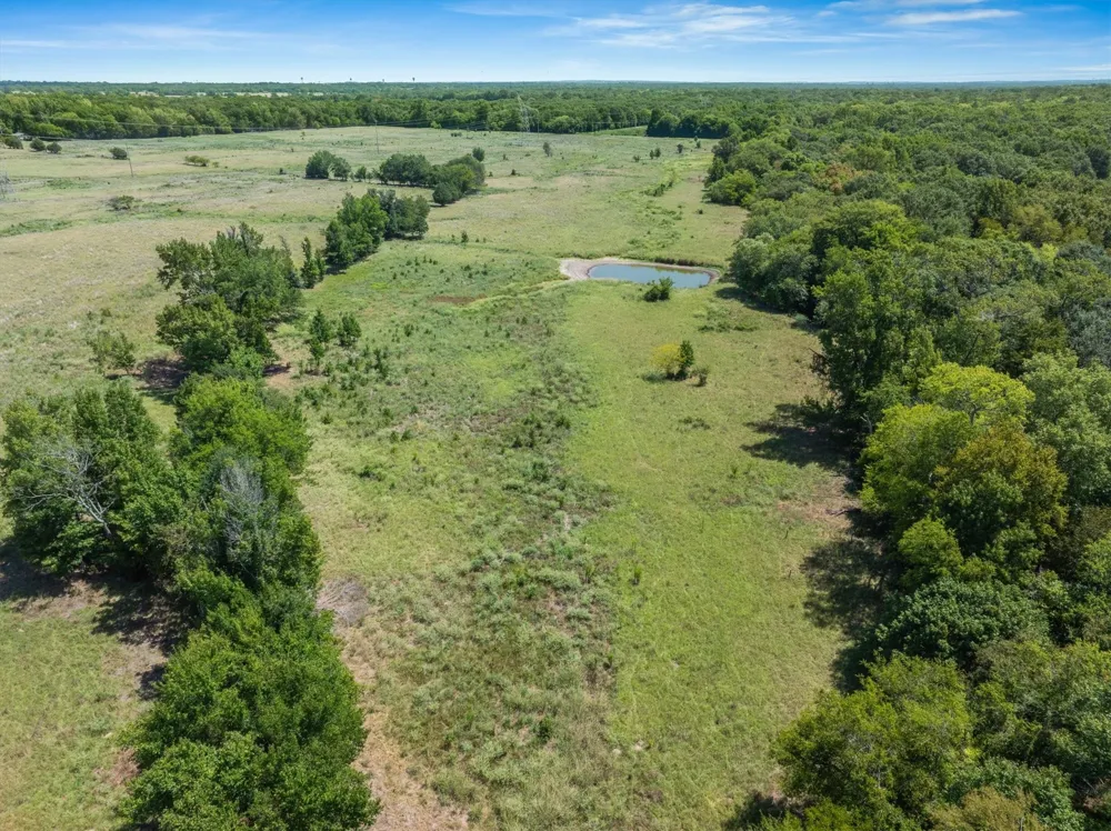 VZ County Road 4503 Ben Wheeler, TX 75754