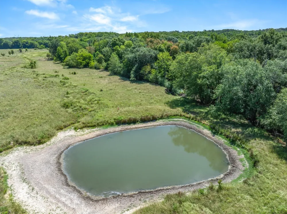 VZ County Road 4503 Ben Wheeler, TX 75754