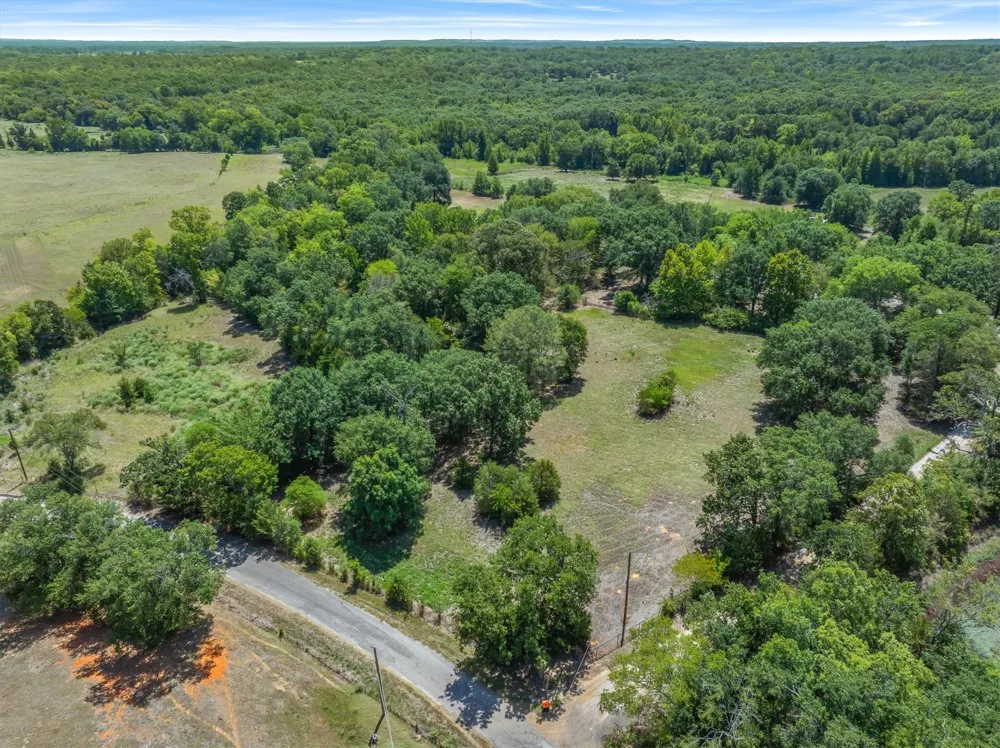 VZ County Road 4503 Ben Wheeler, TX 75754