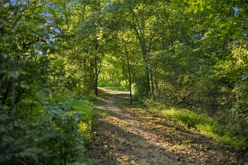 3755 Ronstadt Rd Thompsons Station, TN 37179