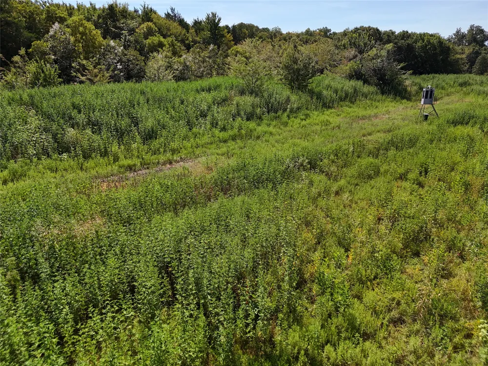 1701 CR 2770 Honey Grove, TX 75446