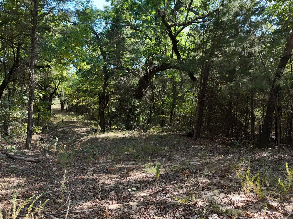 1701 CR 2770 Honey Grove, TX 75446